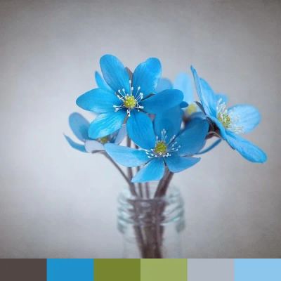 Blue Liverflower color palette