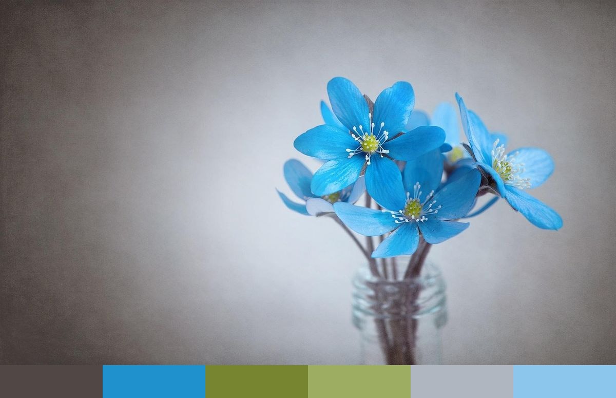 Blue Liverflower color palette