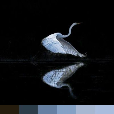 Egret color palette