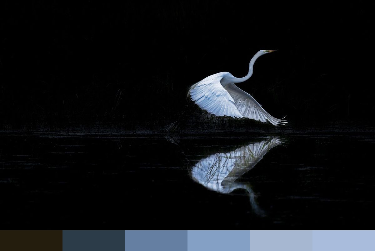 Egret color palette