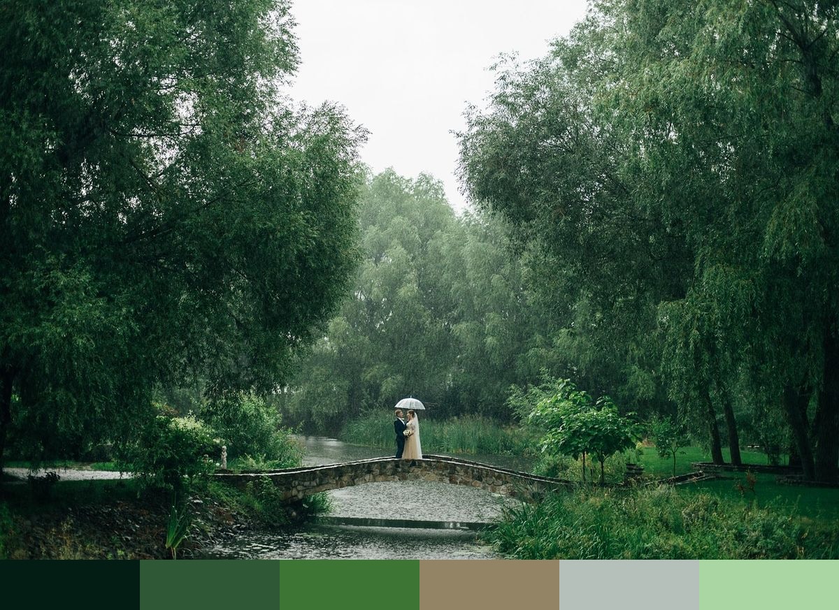 Wedding in the rain color palette