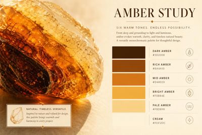Amber Study
