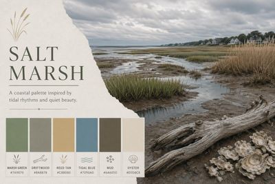 Salt Marsh