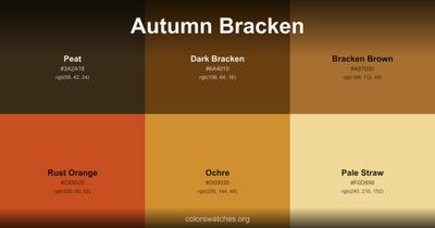 Autumn Bracken