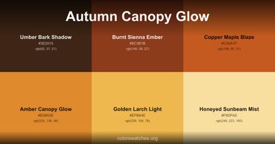 Autumn Canopy Glow
