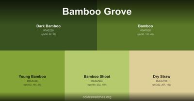 Bamboo Grove