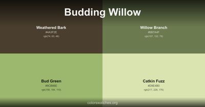 Budding Willow
