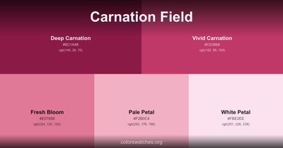 Carnation Field