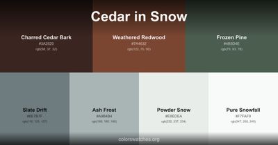 Cedar in Snow