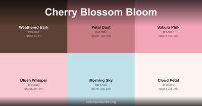 Cherry Blossom Bloom