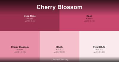 Cherry Blossom