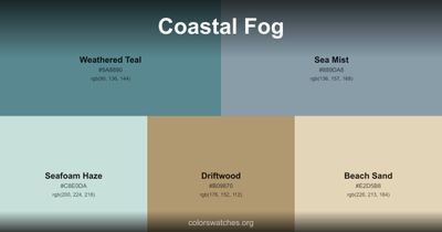 Coastal Fog