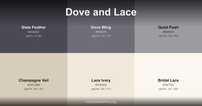 Dove and Lace