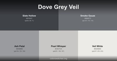 Dove Grey Veil