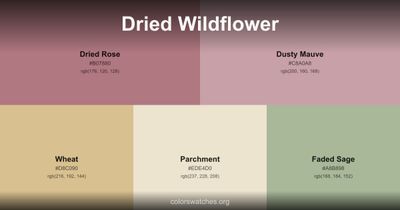 Dried Wildflower