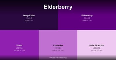Elderberry