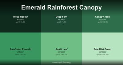 Emerald Rainforest Canopy