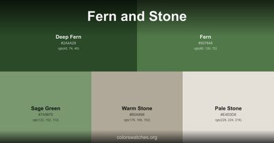 Fern and Stone