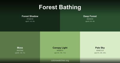 Forest Bathing