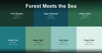 Forest Meets the Sea