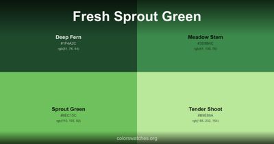 Fresh Sprout Green