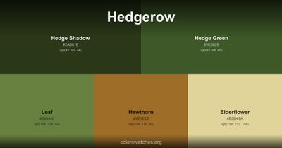 Hedgerow