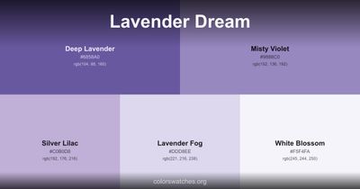 Lavender Dream