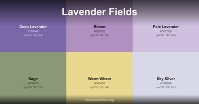 Lavender Fields