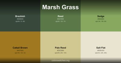 Marsh Grass