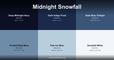 Midnight Snowfall