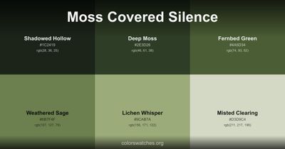 Moss Covered Silence