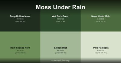 Moss Under Rain