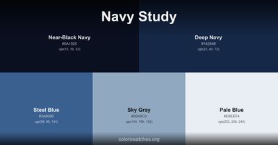 Navy Study
