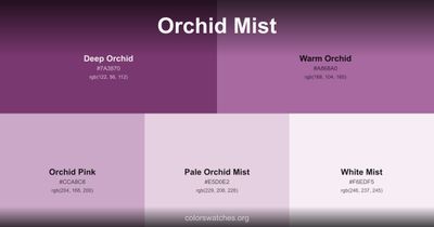 Orchid Mist