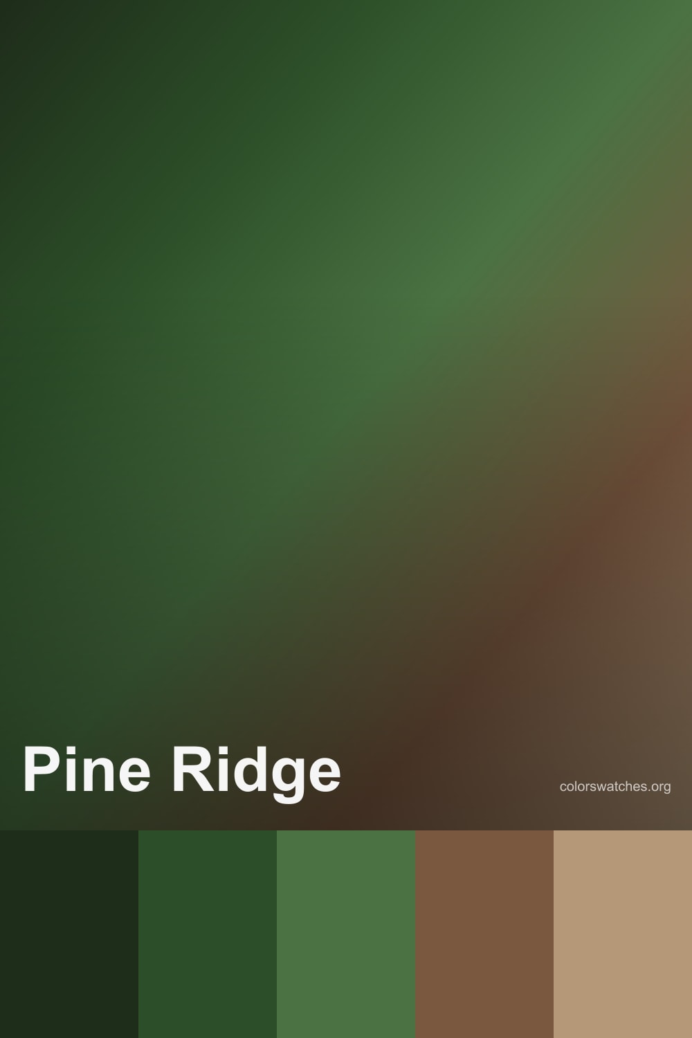 Pine Ridge Color Palette — Dark Forest Greens and Bark Browns for ...