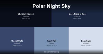 Polar Night Sky