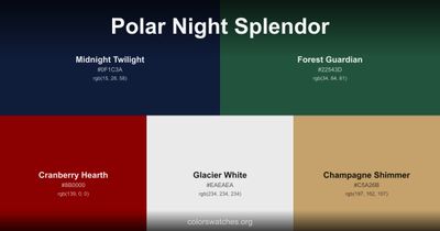 Polar Night Splendor