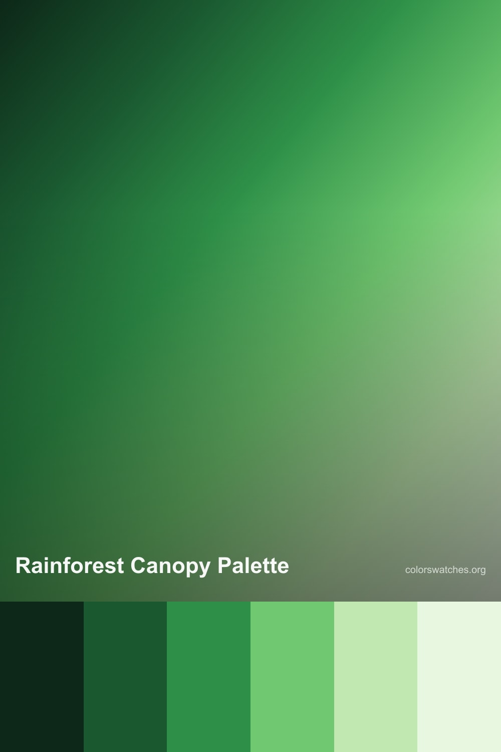 Rainforest Canopy Color Palette — Deep Forest Green to Bright Tropical ...