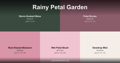 Rainy Petal Garden