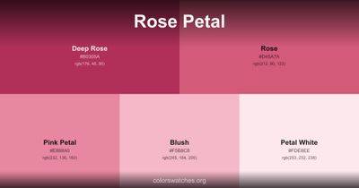 Rose Petal