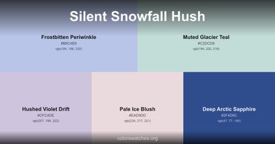 Silent Snowfall Hush