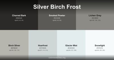 Silver Birch Frost