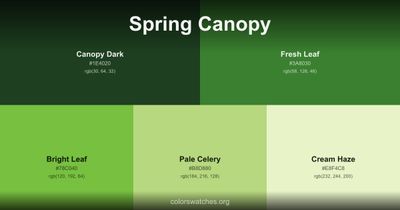 Spring Canopy
