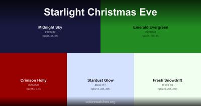 Starlight Christmas Eve
