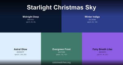 Starlight Christmas Sky