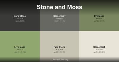Stone and Moss