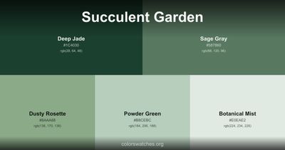 Succulent Garden