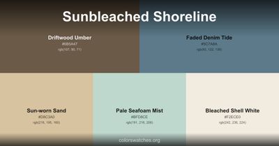 Sunbleached Shoreline