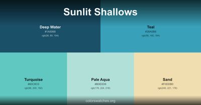 Sunlit Shallows