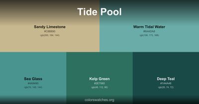 Tide Pool